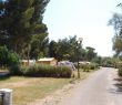 camping hyeres pins maritimes l’ayguade mer plage